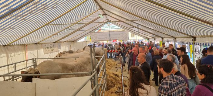 (Foto di repertorio)