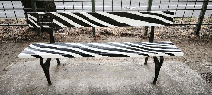 La panchina dipinta di bianconero