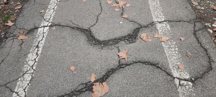 Circoscrizione 3: al via la riparazione della ciclabile di Corso Montecucco e Corso Montegrappa Circoscrizione 3: al via la riparazione della ciclabile di Corso Montecucco e Corso Montegrappa