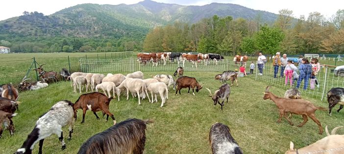 Fiera di San Giorgio a Caselette Fiera di San Giorgio a Caselette
