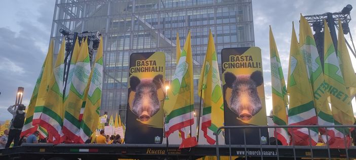 Gli agricoltori sotto la Regione per chiedere l'abbattimento dei cinghiali: "È un'emergenza" Gli agricoltori sotto la Regione per chiedere l'abbattimento dei cinghiali: "È un'emergenza"