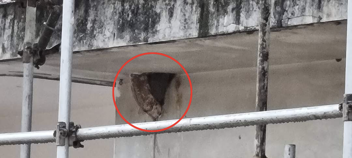 Il ponteggio "risparmia" il nido di rondine