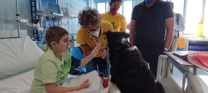 pet therapy pet therapy