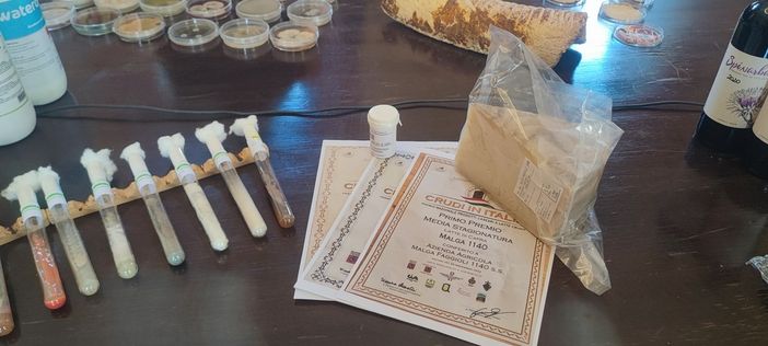 L'Università di Torino guida la rete di conservazione dei microrganismi L'Università di Torino guida la rete di conservazione dei microrganismi