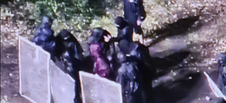 immagine di repertorio