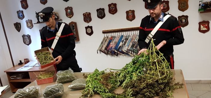 Blitz al campo nomadi di Piossasco: tre arresti e 17 kg di marijuana sequestrati
