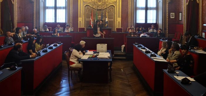 Mozione del Consiglio comunale: "Il Valentino recuperi il suo ruolo di parco cittadino" Mozione del Consiglio comunale: "Il Valentino recuperi il suo ruolo di parco cittadino"