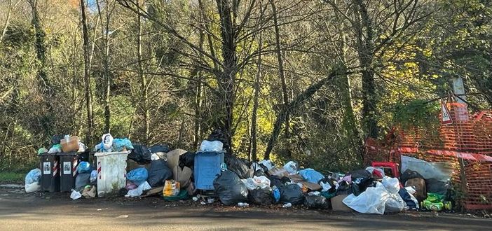 rifiuti in via al molino a collegno rifiuti in via al molino a collegno