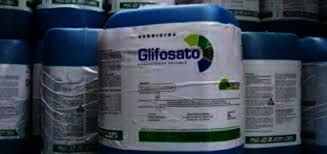 L'Epa riabilita il glifosate, Confagricoltura chiede di continuare a investire nella ricerca L'Epa riabilita il glifosate, Confagricoltura chiede di continuare a investire nella ricerca