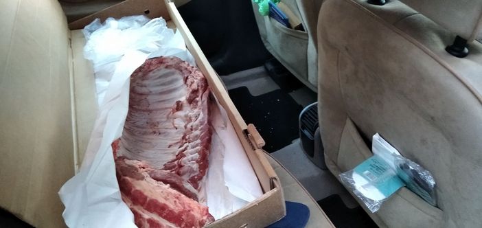 Polizia municipale sequestra 17 chili di carne fresca trasportati sui sedili di un'auto Polizia municipale sequestra 17 chili di carne fresca trasportati sui sedili di un'auto