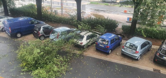 Tombini otturati e alberi abbattuti: Torino un'altra volta in balia del maltempo [VIDEO]