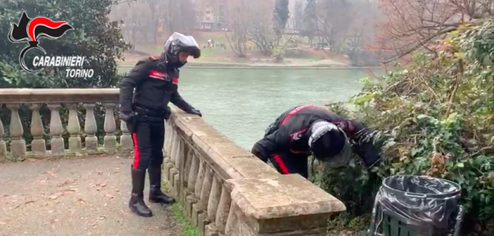 Ragazza aggredita e rapinata dell’iPhone al Valentino: il malvivente nascosto dietro un cespuglio Ragazza aggredita e rapinata dell’iPhone al Valentino: il malvivente nascosto dietro un cespuglio