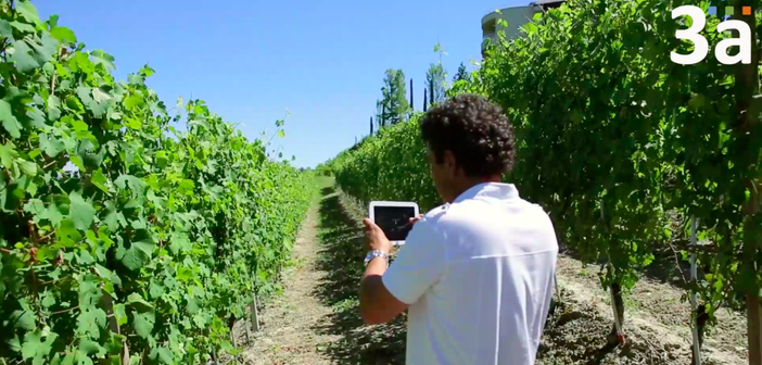 3A porta l'innovazione nei controlli di qualità dei dati meteorologici: "Fondamentale il supporto di Cdo e Camera" 3A porta l'innovazione nei controlli di qualità dei dati meteorologici: "Fondamentale il supporto di Cdo e Camera"