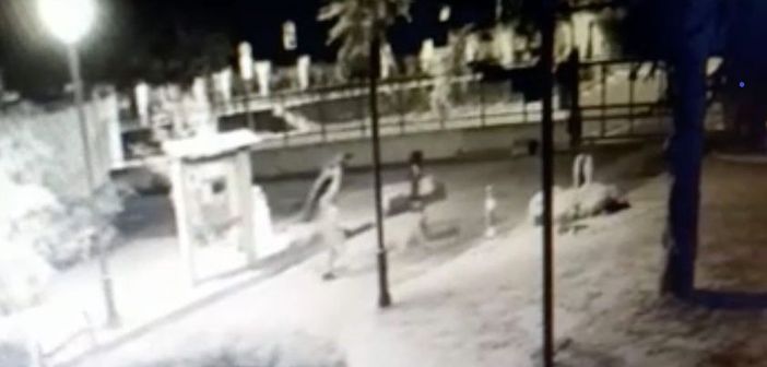 Furto di rame al cimitero: due arresti all'alba a Moncalieri. Devastate tombe e cappelle Furto di rame al cimitero: due arresti all'alba a Moncalieri. Devastate tombe e cappelle