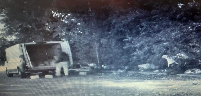 fototrappola - foto di repertorio fototrappola - foto di repertorio