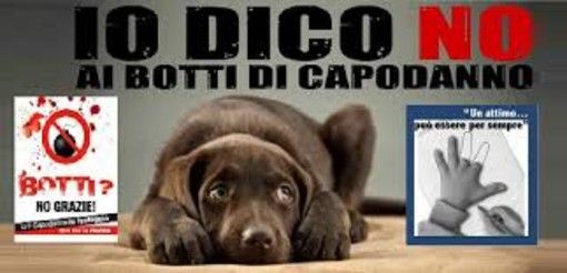 Botti di Capodanno, la mappa dei Comuni torinesi che li hanno vietati