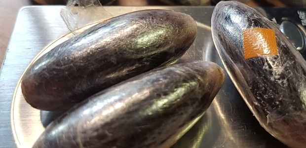 Al volante con la patente scaduta: in auto gli trovano 8 grammi di cocaina