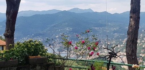 A.R.T.E. Genova mette all'asta i c.d. “immobili di pregio” a Sestri Levante, Zoagli e Camogli A.R.T.E. Genova mette all'asta i c.d. “immobili di pregio” a Sestri Levante, Zoagli e Camogli