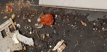 Blatte, sporcizia, alimenti mal conservati e lavoratori in nero: c'era di tutto, in tre locali di San Salvario [FOTO]