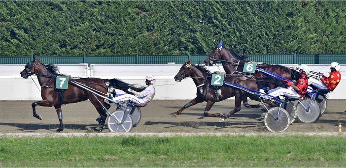 Tris Quarté Quinté e Gentlemen per il mercoledì di Vinovo