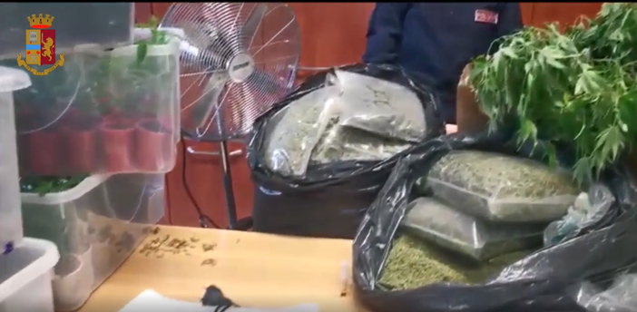 Droga sequestrata dalla Polizia