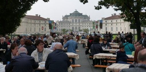 Stupinigi, necessari degli interventi per garantire la stabilità degli alberi del viale di accesso alla Palazzina di Caccia