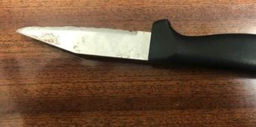 Pregiudicato in auto con un coltello &quot;a farfalla&quot; di 10 centimetri