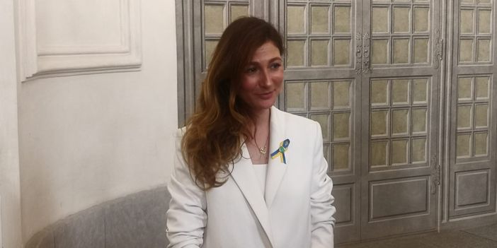 viceministra ucraina consiglio europa viceministra ucraina consiglio europa