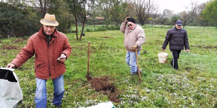 Le mani laboriose dei volontari piantano nuovi alberelli a Mirafiori [FOTO]