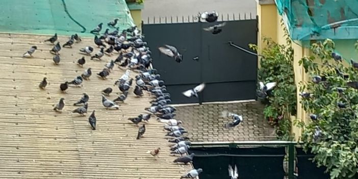 Basse di Dora, "La situazione igienico sanitaria del quartiere è sempre peggio" Basse di Dora, "La situazione igienico sanitaria del quartiere è sempre peggio"