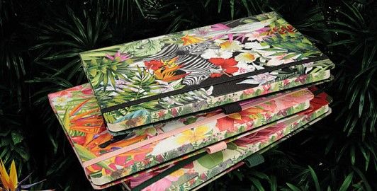 Il mondo di Boost visto da Marzio Carrara