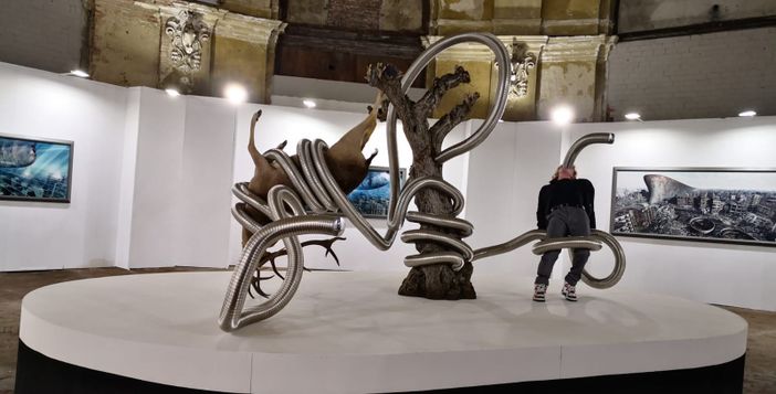 Paratissima Talents, rimandata l'inaugurazione prevista il 5 marzo