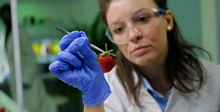 Sicurezza alimentare: tra Moncalieri, Nichelino e l'area sud oltre 2100 controlli Sicurezza alimentare: tra Moncalieri, Nichelino e l'area sud oltre 2100 controlli