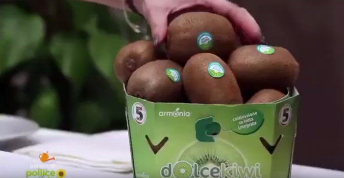 Moria di kiwi, Protopapa: "Piemonte dimenticato dalla ministra delle politiche agricole" Moria di kiwi, Protopapa: "Piemonte dimenticato dalla ministra delle politiche agricole"