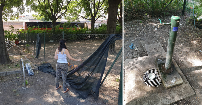 L’area cani è abbandonata, i residenti se ne prendono cura: “Una piccola buona azione per i nostri amici ia 4 zampe”