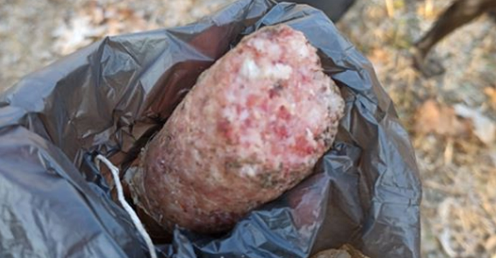 Foto di Tamara Sofia Ledda Veronese