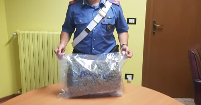 Alpignano, preso un corriere di droga: trasportava 1 chilo di marijuana sottovuoto Alpignano, preso un corriere di droga: trasportava 1 chilo di marijuana sottovuoto