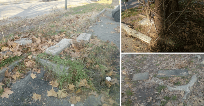 In via Foglizzo un viale alberato in pessime condizioni: “L’amministrazione intervenga” In via Foglizzo un viale alberato in pessime condizioni: “L’amministrazione intervenga”