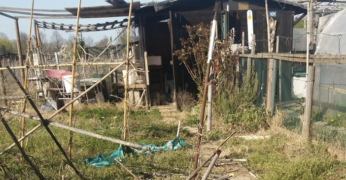 Vandalizzati gli orti urbani di Mirafiori Sud