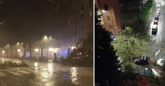 Violento temporale a Torino, decine di alberi caduti in strada: chiuso corso Giulio Cesare Violento temporale a Torino, decine di alberi caduti in strada: chiuso corso Giulio Cesare