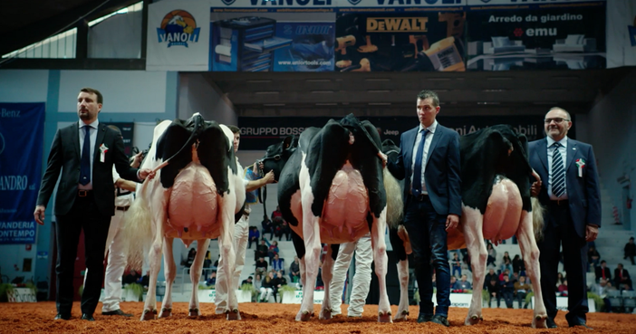 “The Milk System” torna al cinema  dopo l’esposto di Coldiretti e Assolatte “The Milk System” torna al cinema  dopo l’esposto di Coldiretti e Assolatte