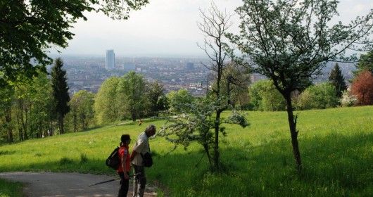 Rinviata al 2 giugno la Prima Escursione sul “Cammino di Don Bosco” Rinviata al 2 giugno la Prima Escursione sul “Cammino di Don Bosco”