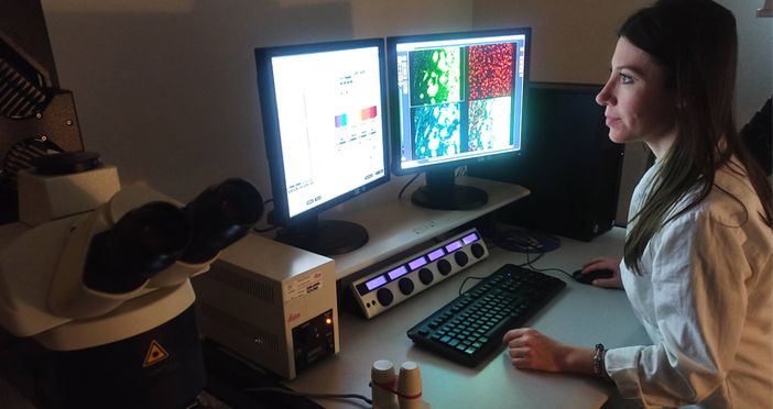 L'Università di Torino apre il bando per giovani ricercatori L'Università di Torino apre il bando per giovani ricercatori