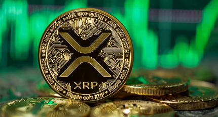 XRP crolla sotto i 0,50 dollari e gli investitori si fiondano su PlayDoge
