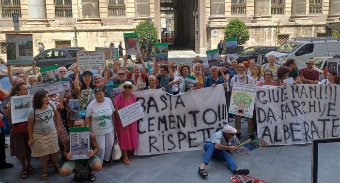 protesta contro i tagli degli alberi in corso Belgio protesta contro i tagli degli alberi in corso Belgio
