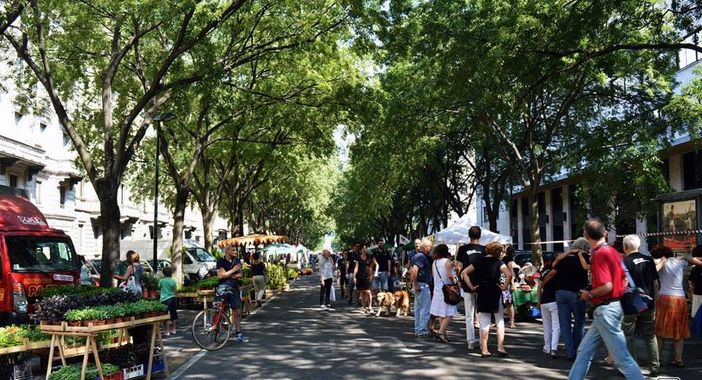 Torino, San Salvario mostra il suo cuore verde Torino, San Salvario mostra il suo cuore verde