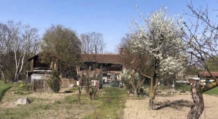 Il ranch delle donne Il ranch delle donne