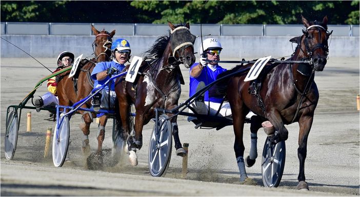 Cavalli in pista mercoledì a Vinovo, occhio ai puledri