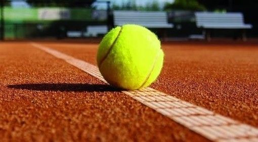 Sinner alle Finals di Torino 2023: il percorso del tennista quest'anno