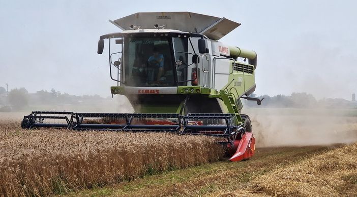 Trebbiatura del grano Trebbiatura del grano